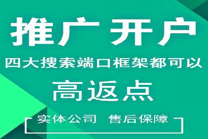 竞价推广实战案例分析